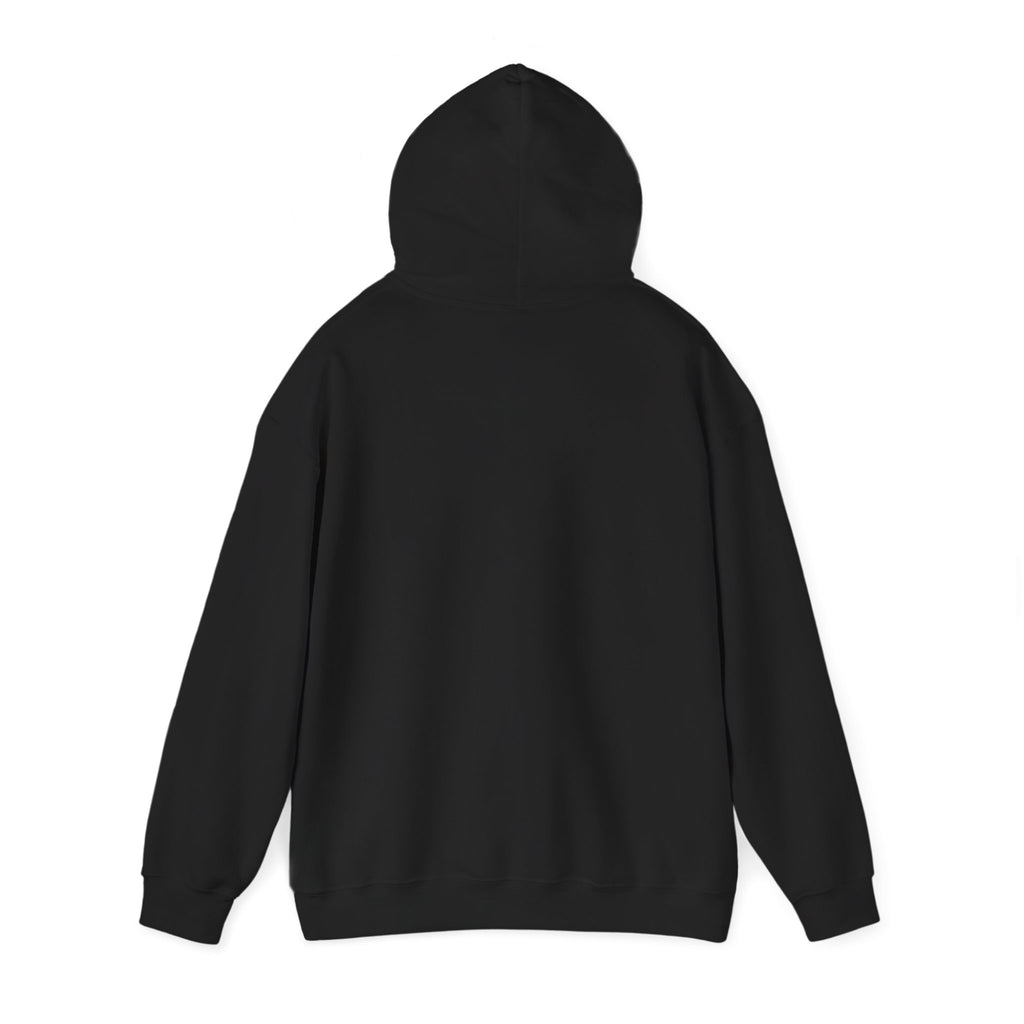 Lazy Cat Hoodie — Cute Sleeping Cat Graphic Pullover
