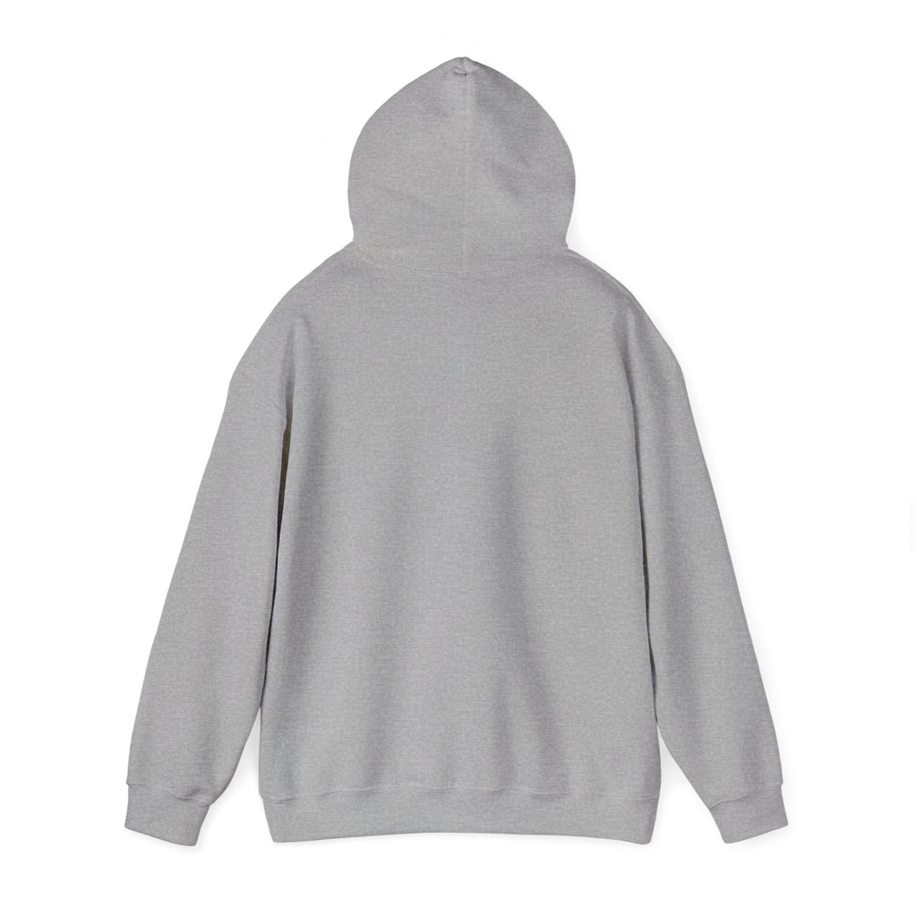 Lazy Cat Hoodie — Cute Sleeping Cat Graphic Pullover
